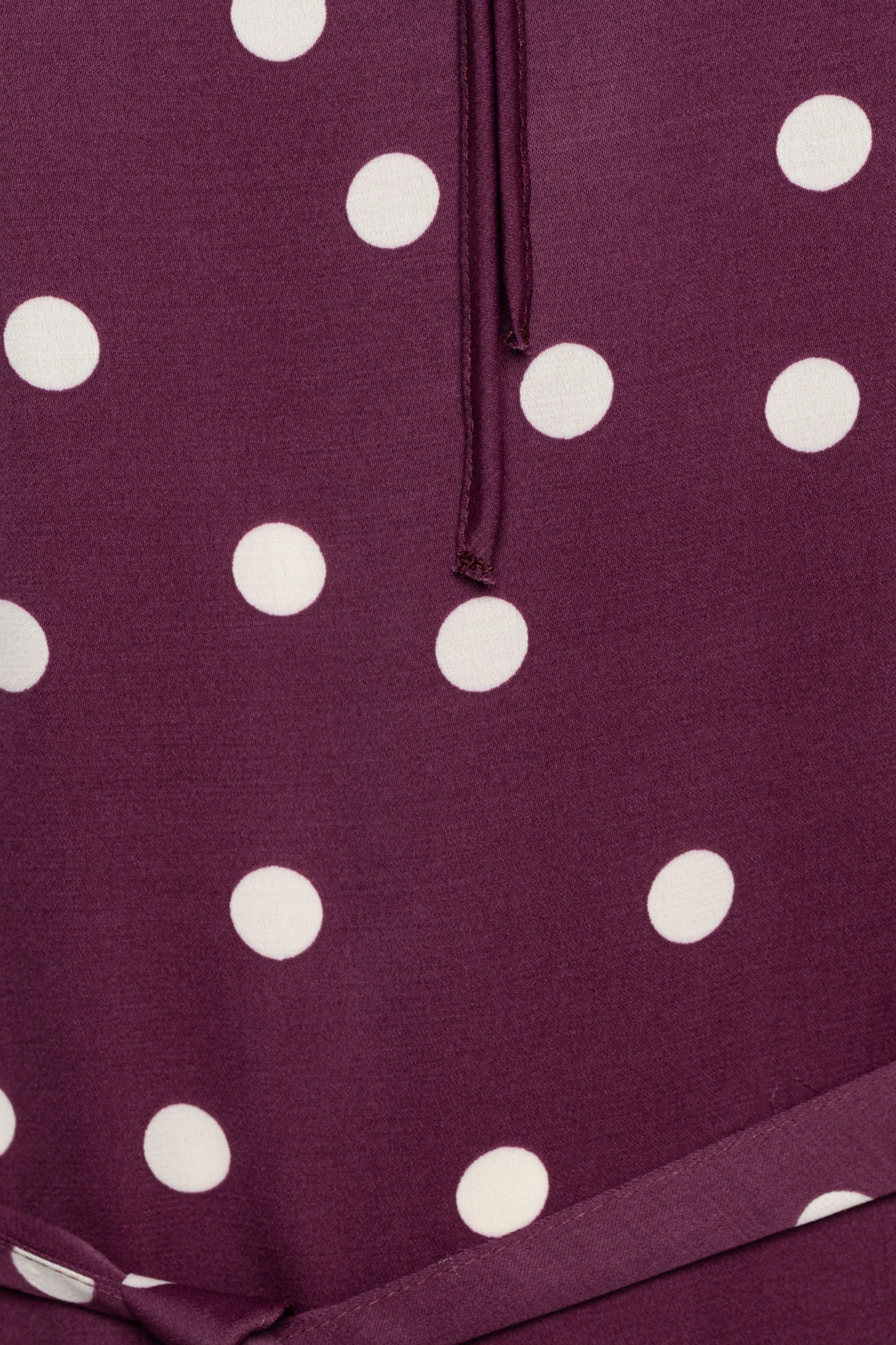 Jurk Axelle Dot Plum Multi DR304 - Image 7